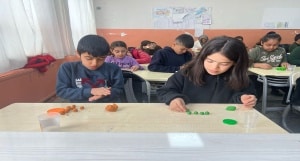 Maddenin Tanecikli Yapısı